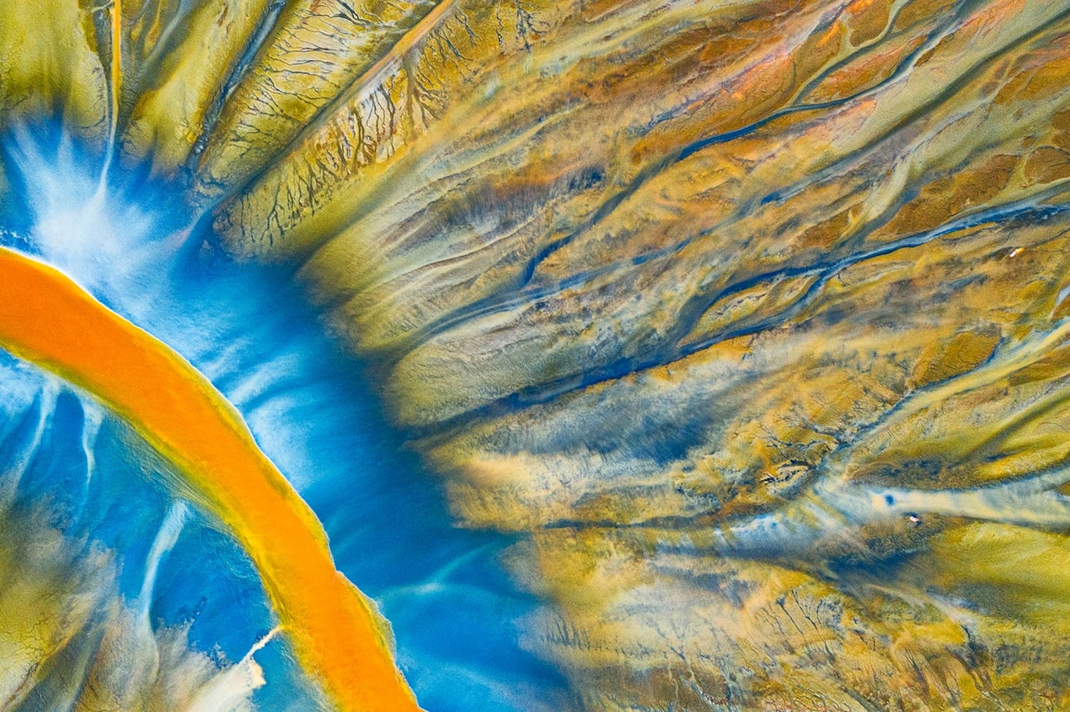 Poisoned River Forurensede elver i Transylvania